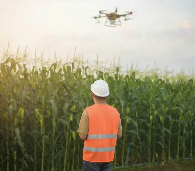 Agricultural drones — Loyalty Drones, Jordan