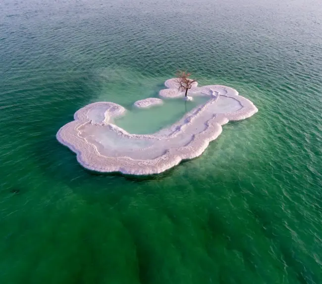 Deadsea — Loyalty Drones, Jordan