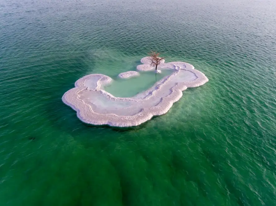 Deadsea — Loyalty Drones, Jordan